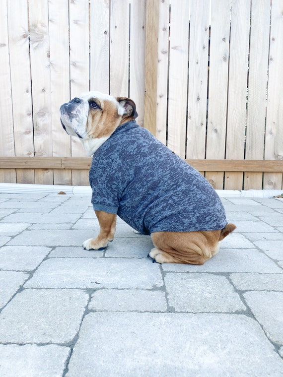 oler Magistrado Beca L English Bulldog Suéter ropa manga larga con apertura de - Etsy España