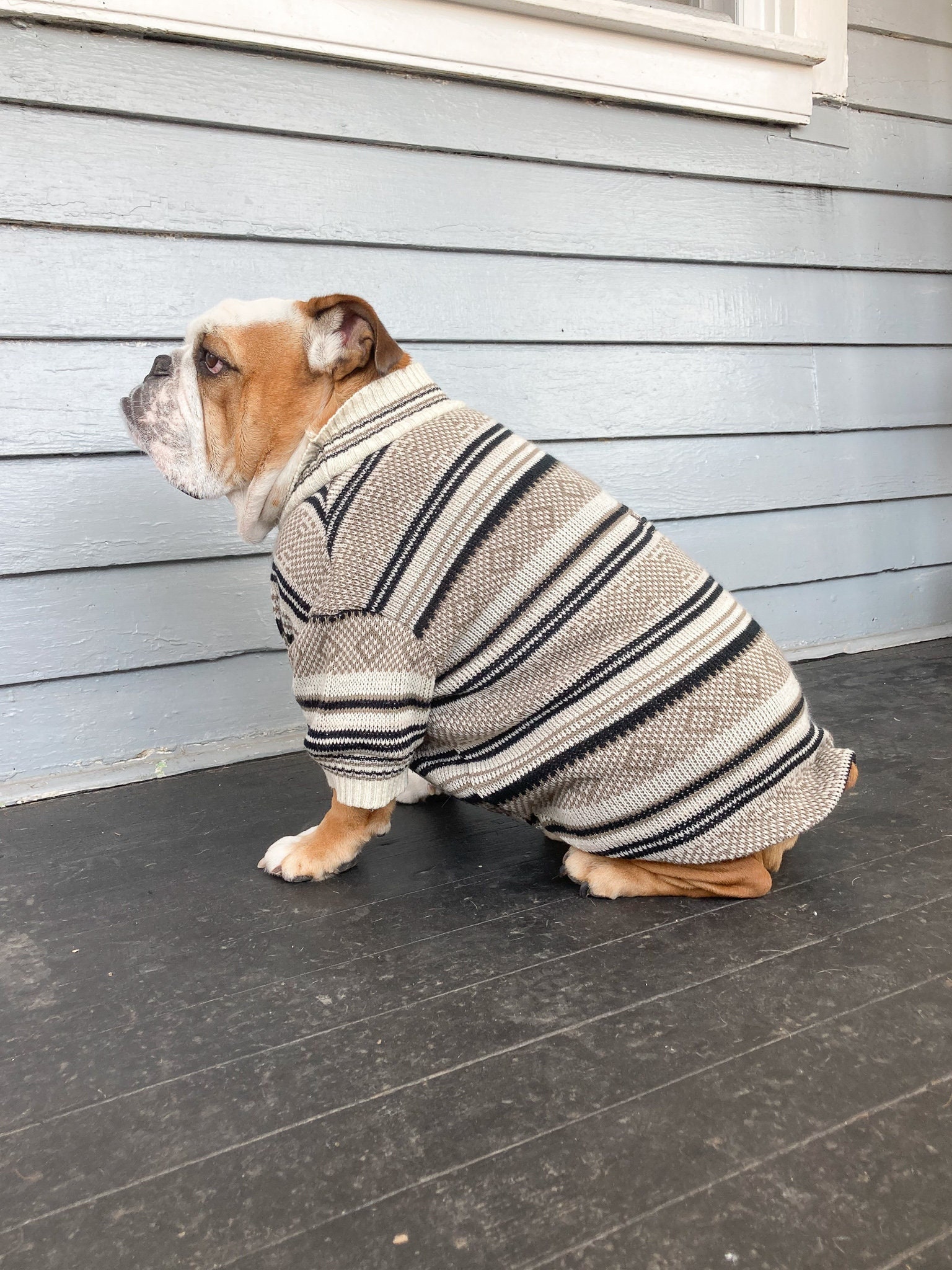 Bulldog sweaters hotsell