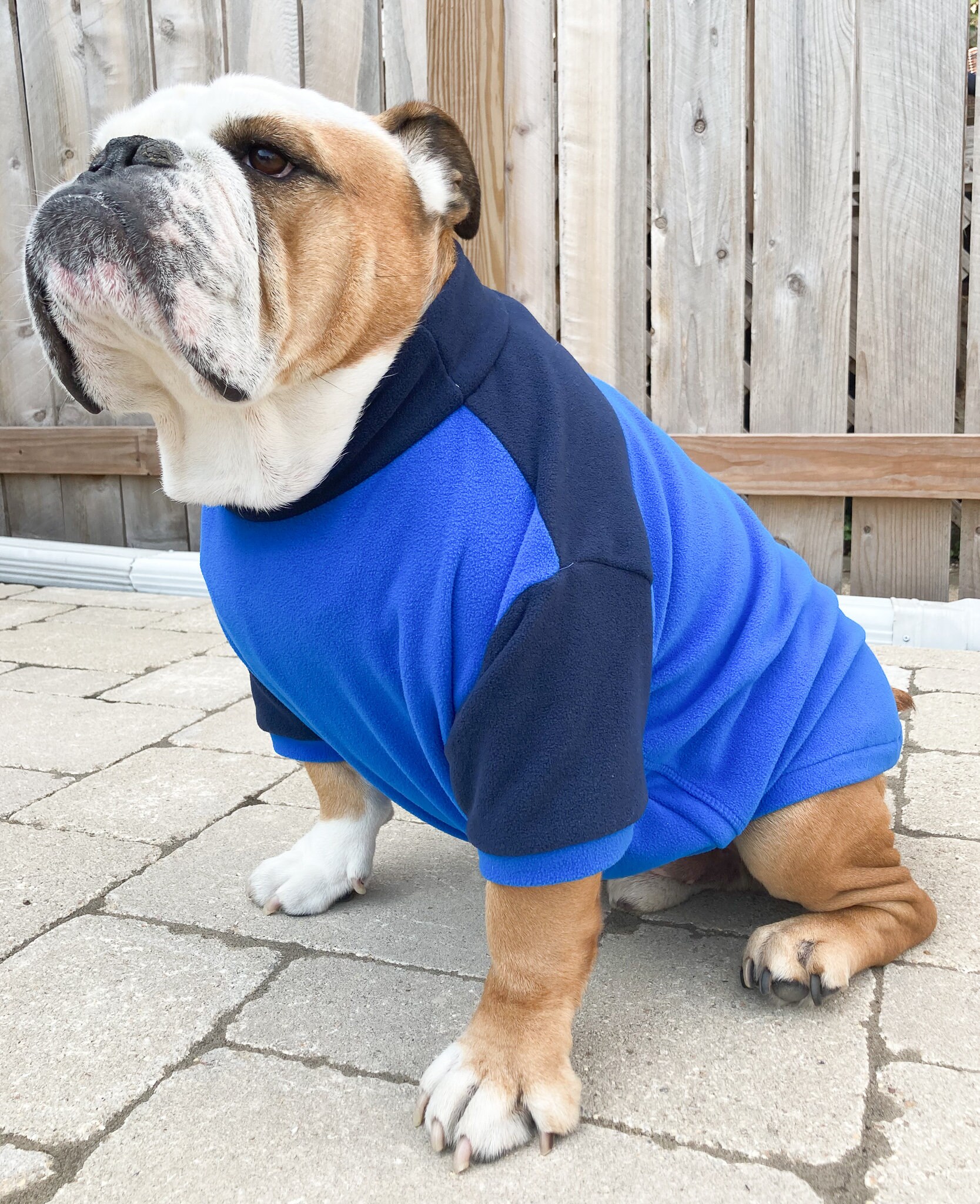 3XL English Bulldog Fleece Apparel Long Sleeved With Harness