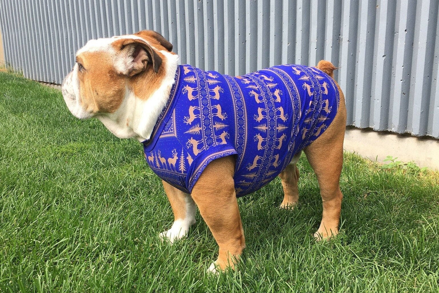 Boujee top dog clothes