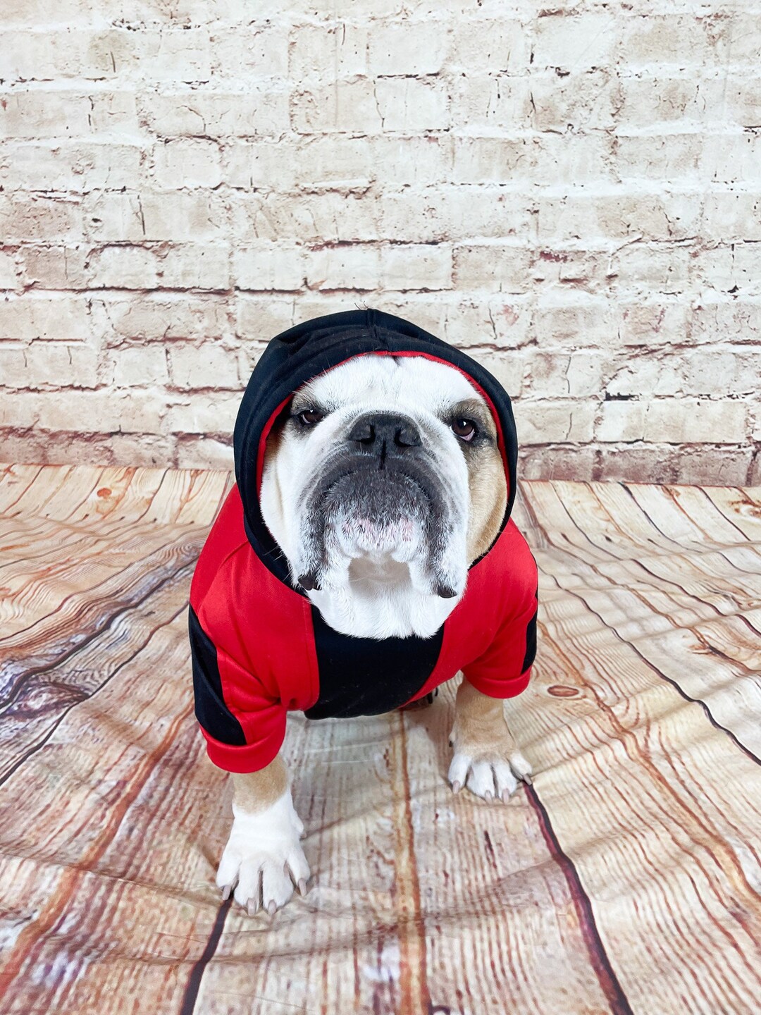 XL Hoodie Sweatshirt English Bulldog Apparel Long Sleeved Etsy