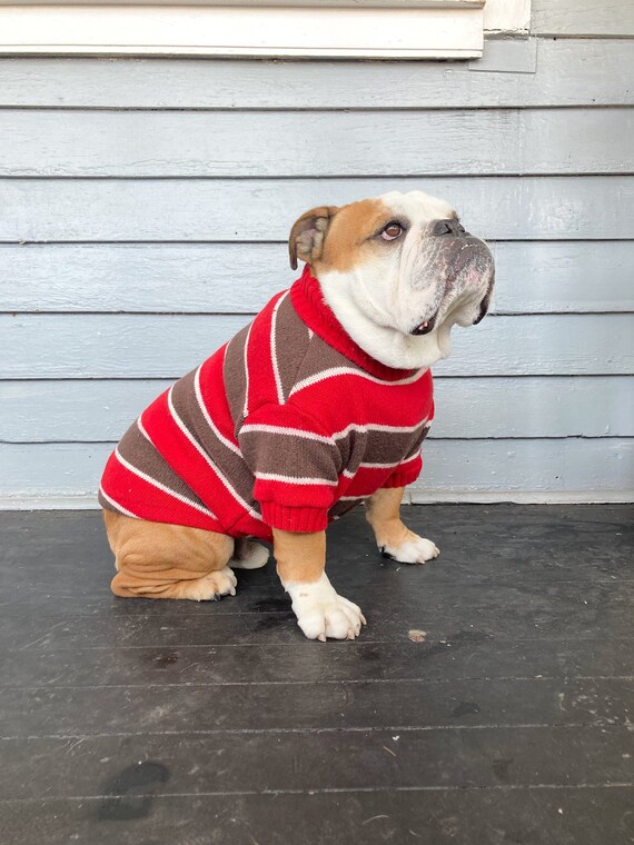 dog sweaters american eagle