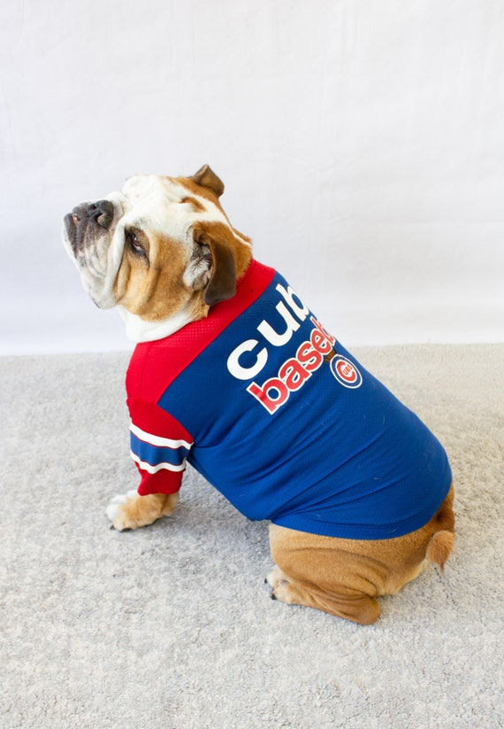 bueno un millón escritorio XL English Bulldog Jersey manga larga ropa prenda con - Etsy España