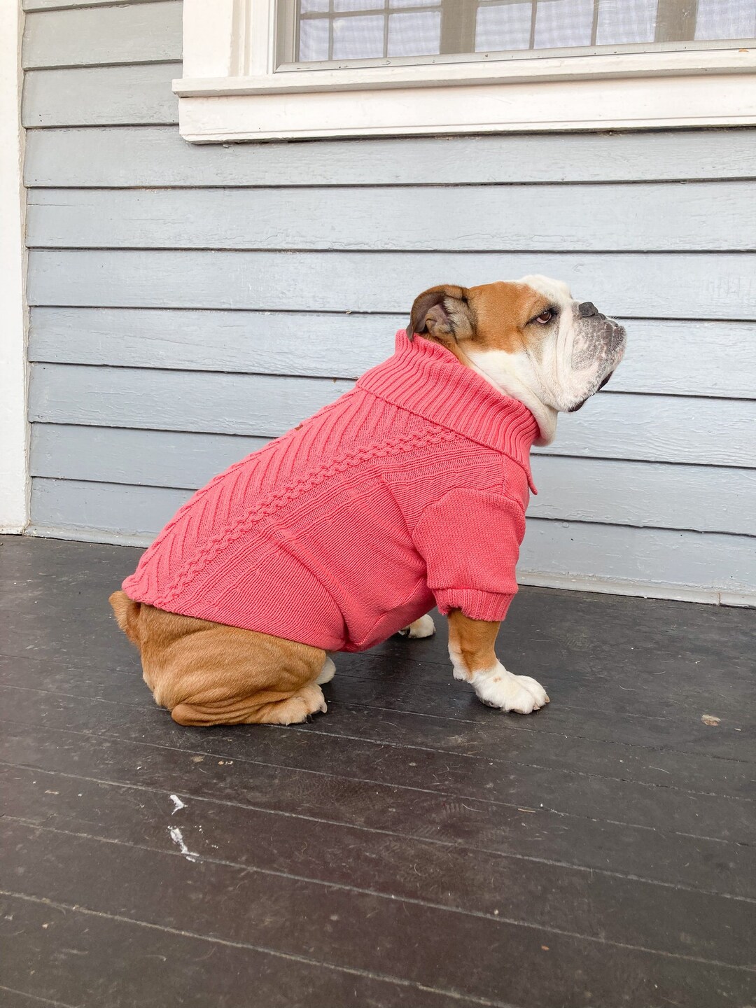 L English Bulldog Sweater Apparel Long Sleeved With Harness Etsy