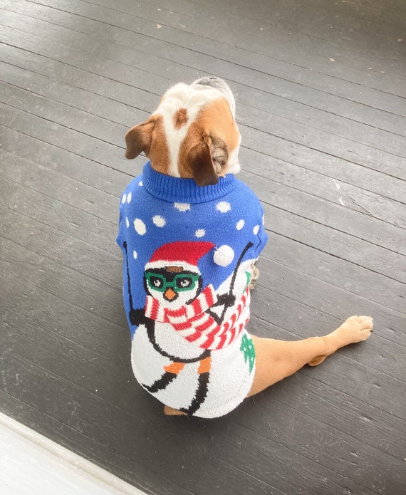English bulldog cheap sweater