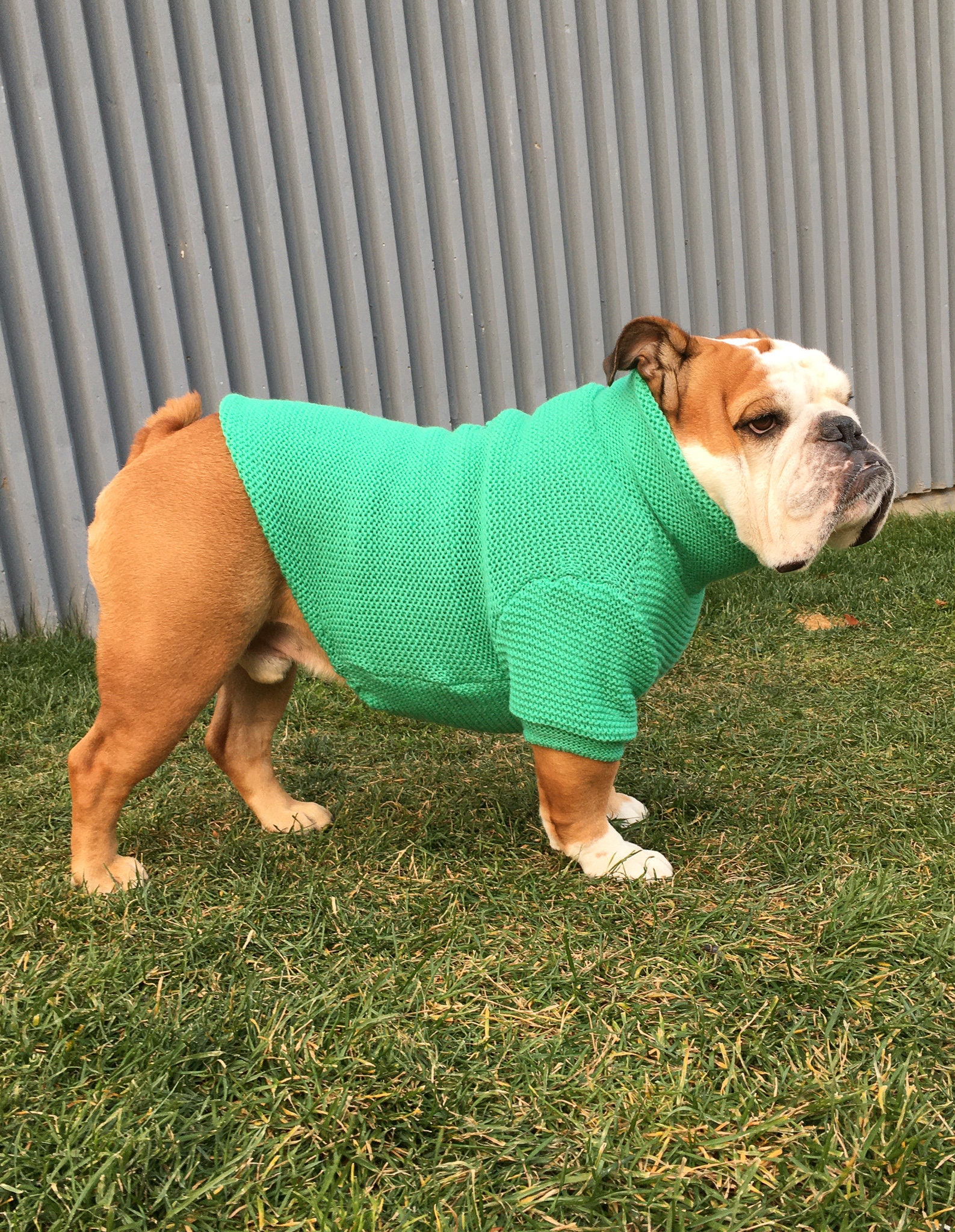 S Bulldog Apparel Long Sleeved With Etsy