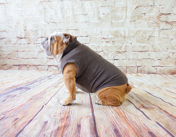 English hotsell bulldog sweater