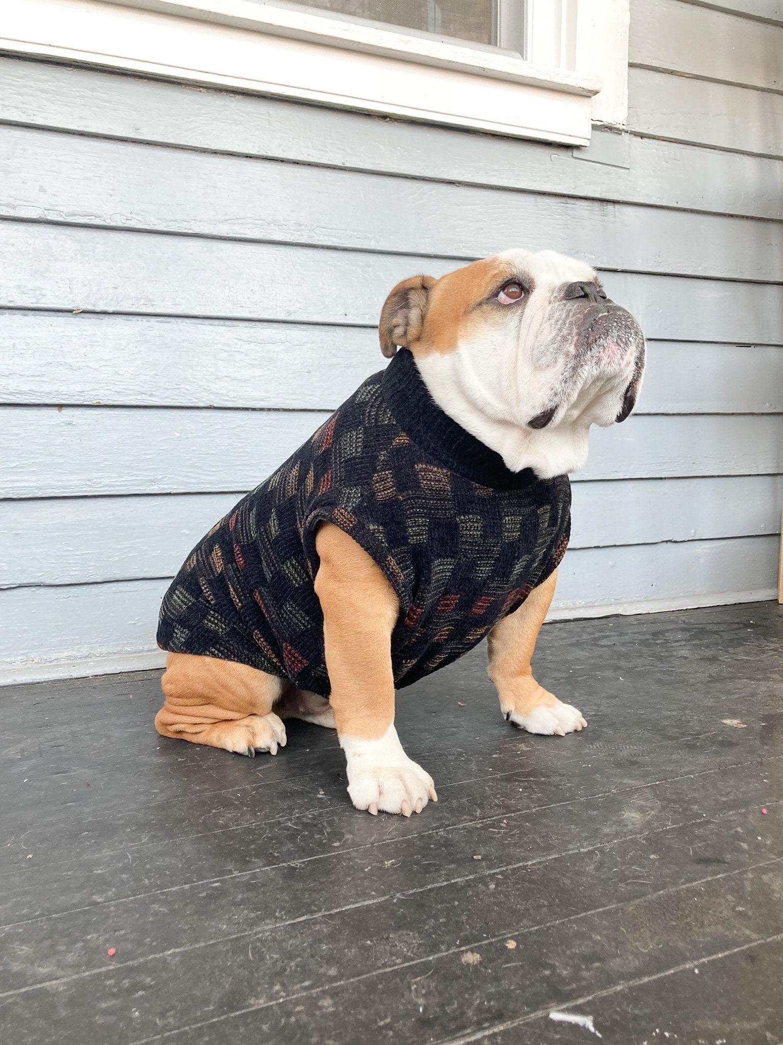 Luxury pet clothing brand – Bark'N Bougie