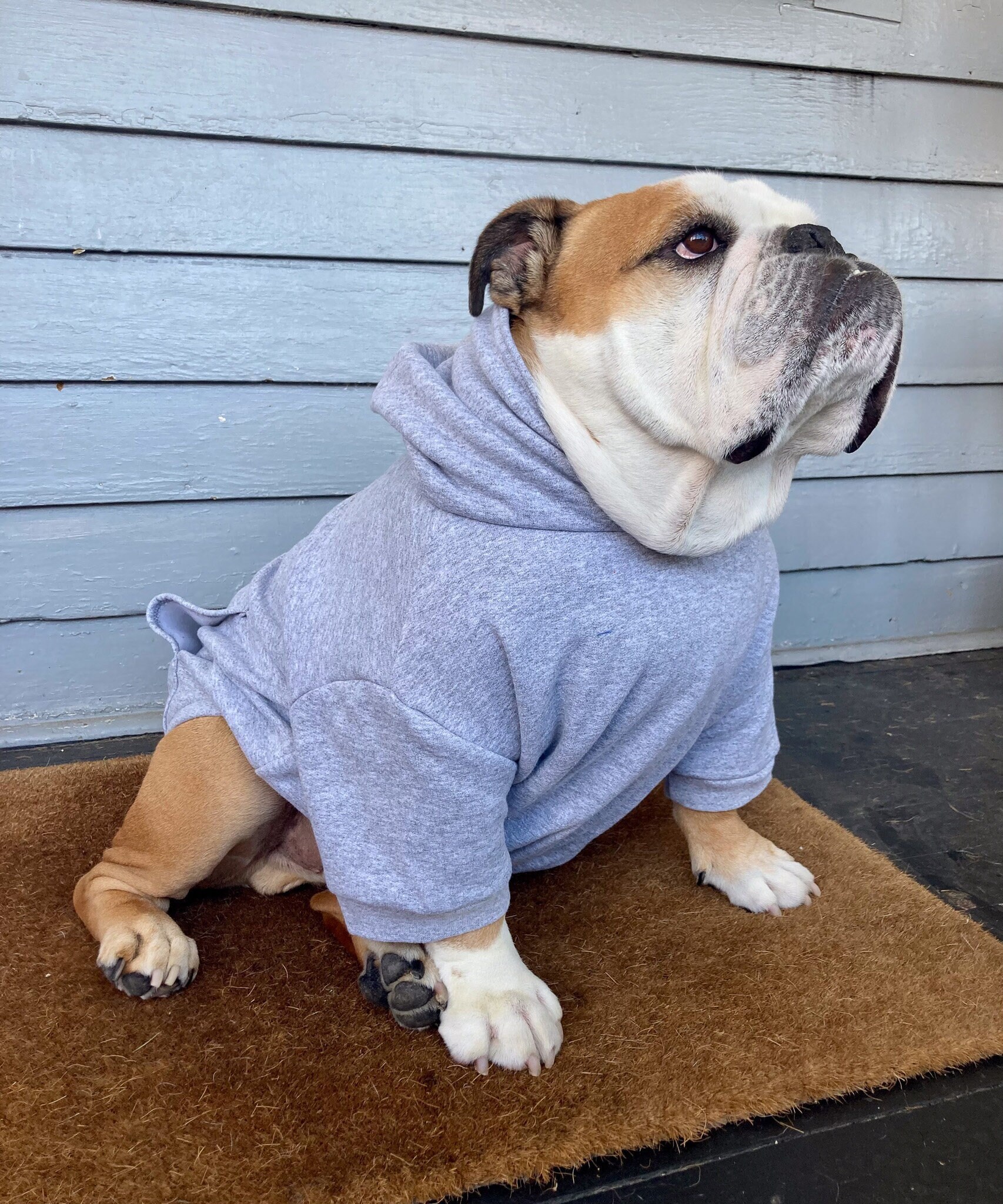 3XL English Bulldog Hoodie Sweatshirt Apparel Long Sleeved