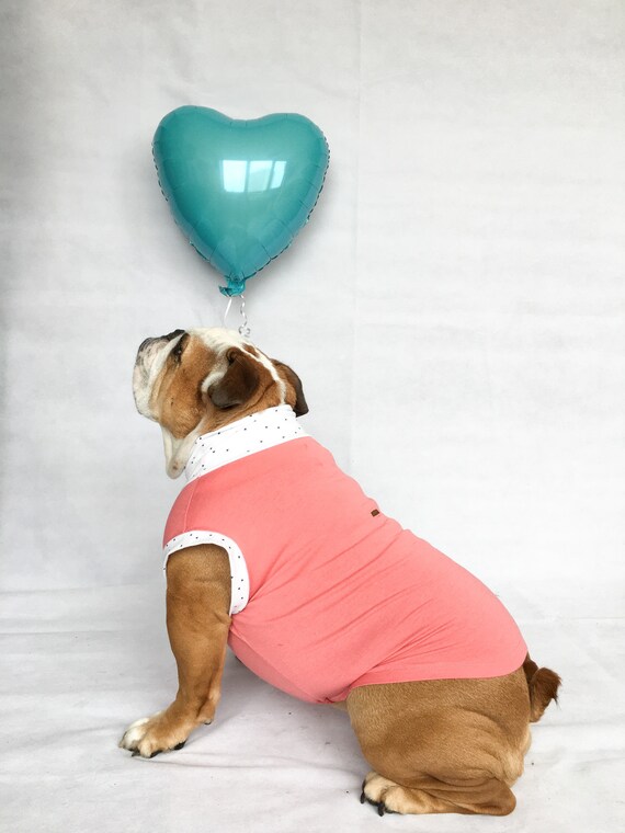 English bulldog apparel top