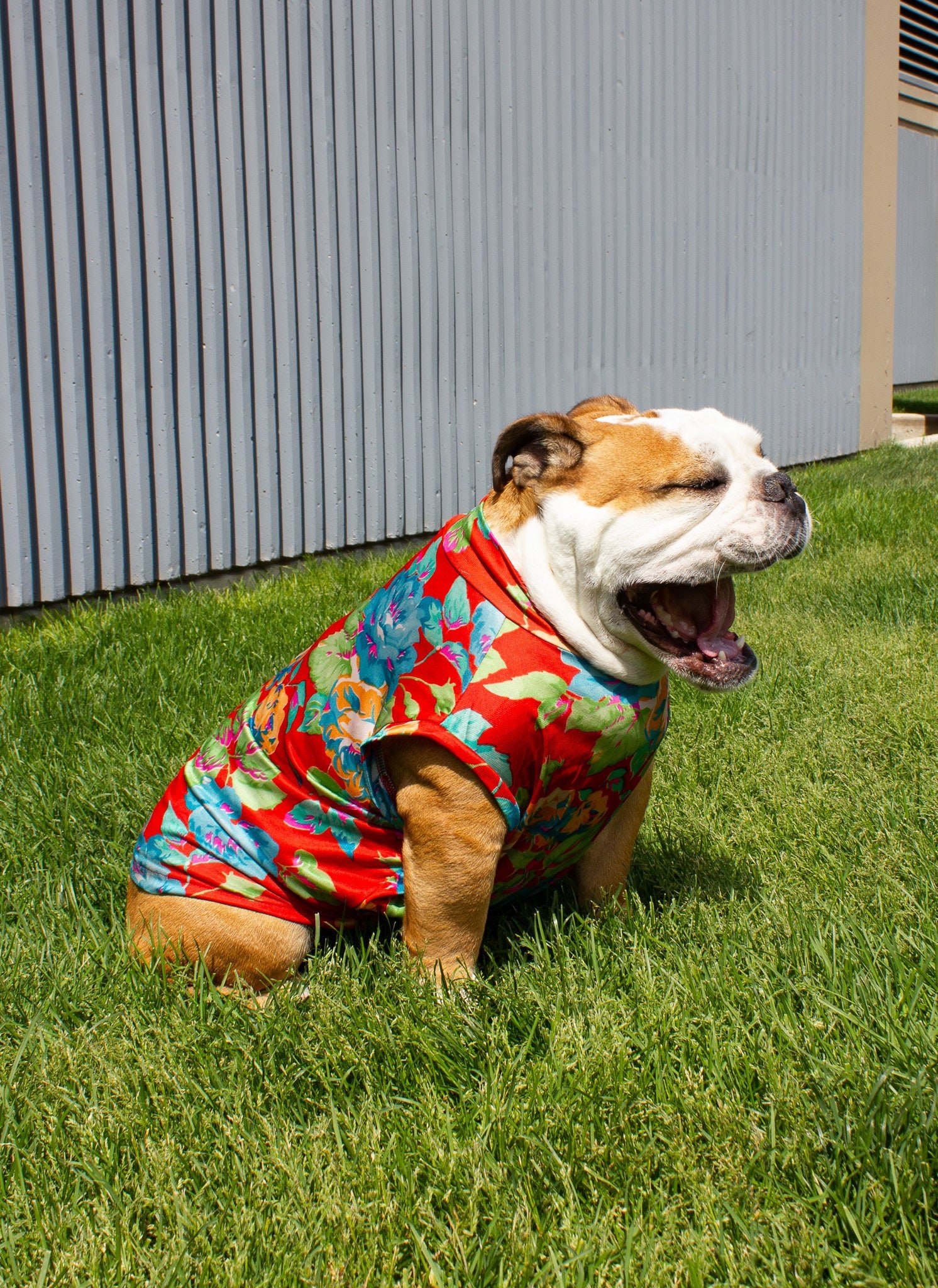 english bulldog hawaiian shirt