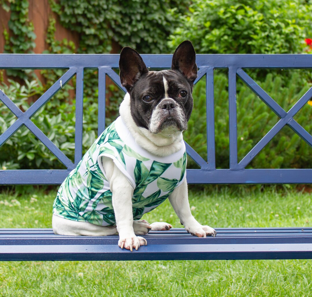 Frenchie hawaiian cheap shirt