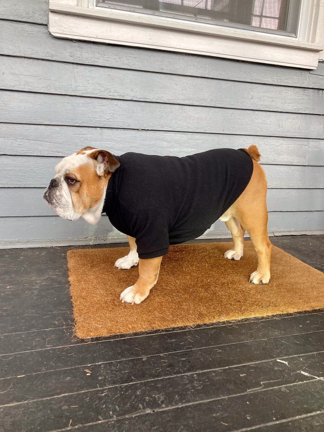 L, XL Fleece English Bulldog, Apparel, Long Sleeved, Harness Opening Etsy