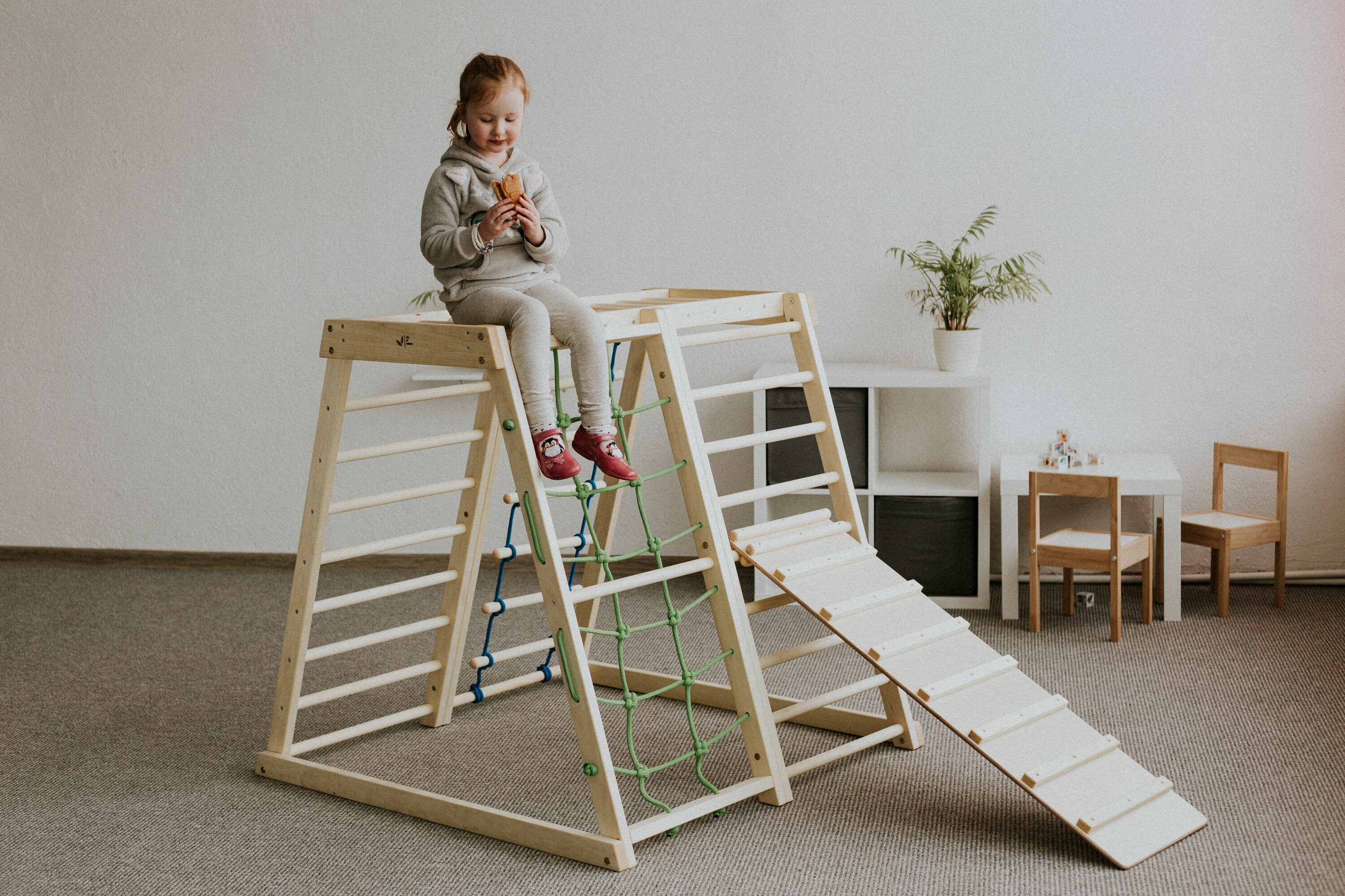 Kostenloser Versand Indoor-Dschungel-Fitnessstudio | Etsy