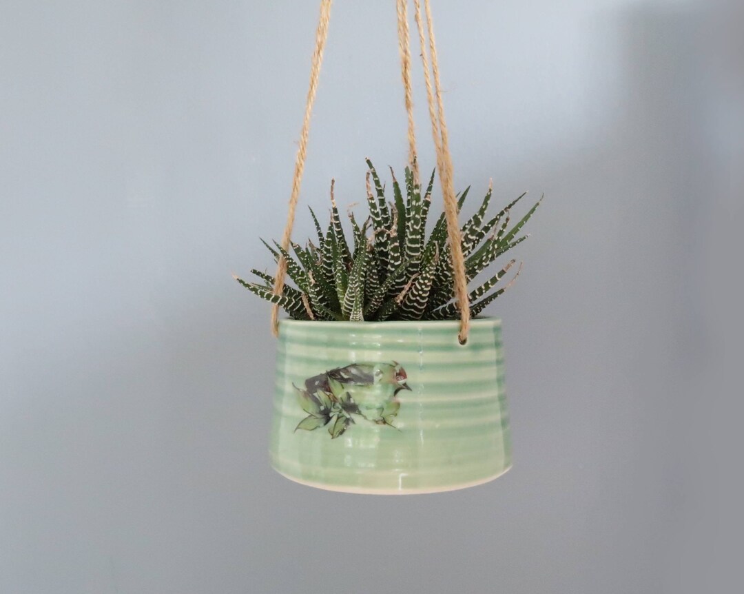 Hanging Plant Bowl, Ikebana Hanging Planter, Succulent Pot, Air Plant