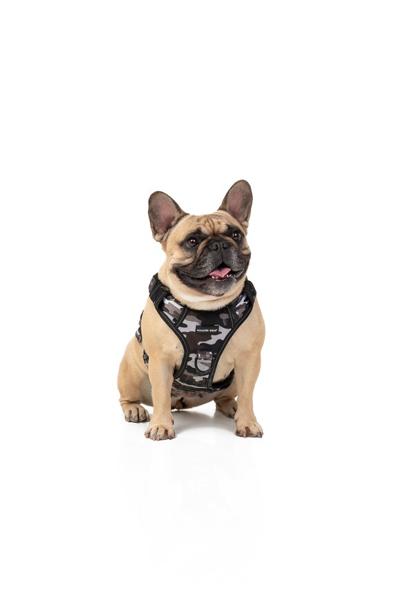 Camo dog harness online