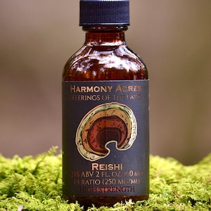 Wild reishi mushroom tincture
