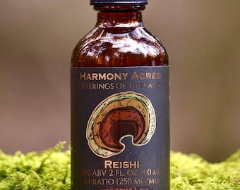Tintura de hongo Reishi silvestre / Ganoderma / Recolectado en la naturaleza / Extracto doble / 59 ml