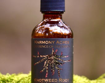 Japanese Knotweed Root Tincture | Polygonum cuspidatum | Wild-Foraged Pennsylvania | 2 fl oz