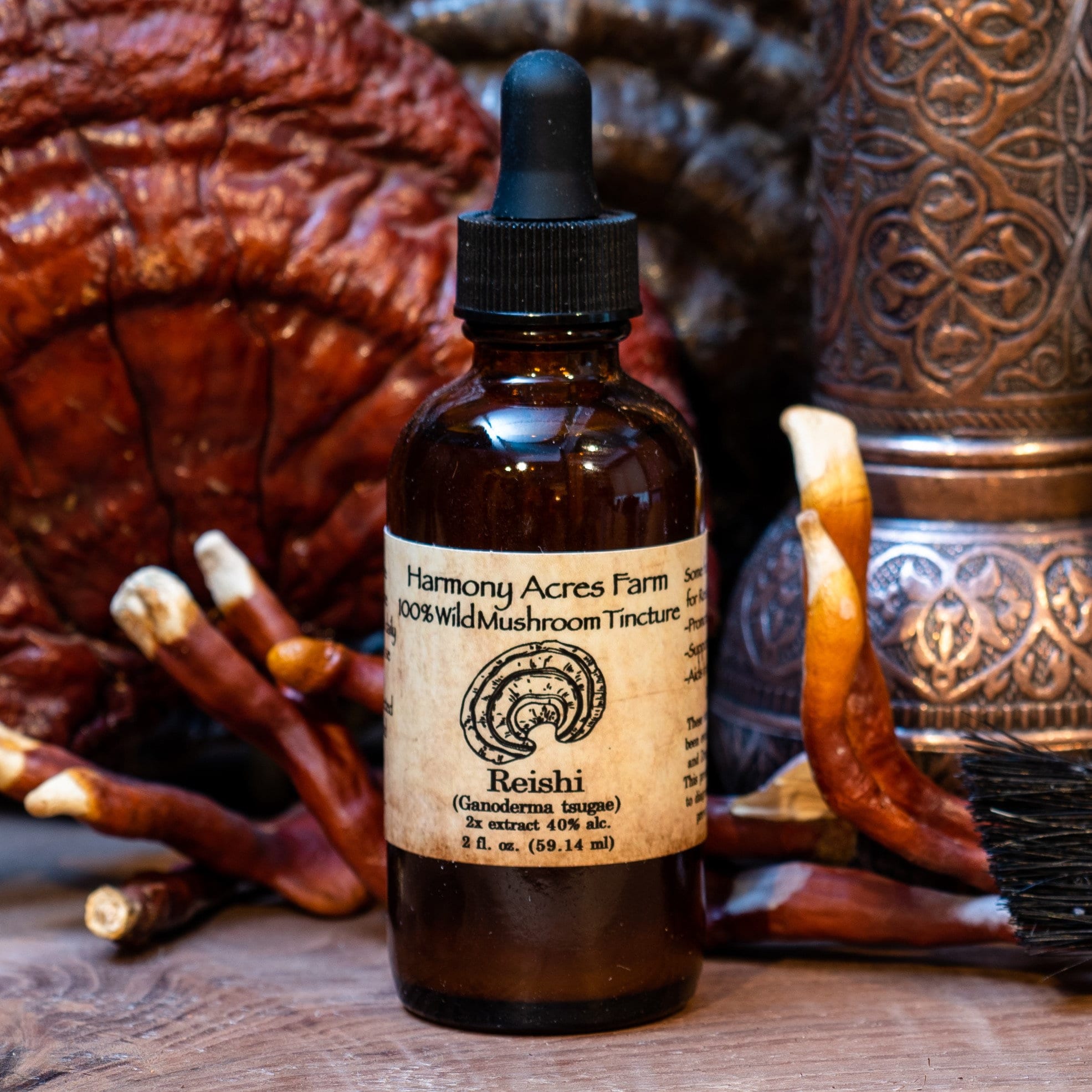 The Shroomy Temple  Wild Reishi Mushroom Tincture – Black Magic Alchemy