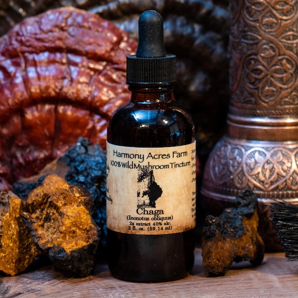 Chaga mushroom tincture