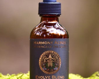 Tintura de hongos Evolve Blend / Reishi, Cordyceps, Chaga, Melena de León / Extracto doble / 59 ml