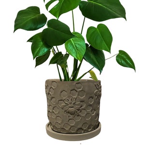 Concrete Planter , Bee Planter, Indoor Bee Planter, Outdoor Planter, 6 inch Planter, Bees, Flower Pot, Concrete Flower Pot