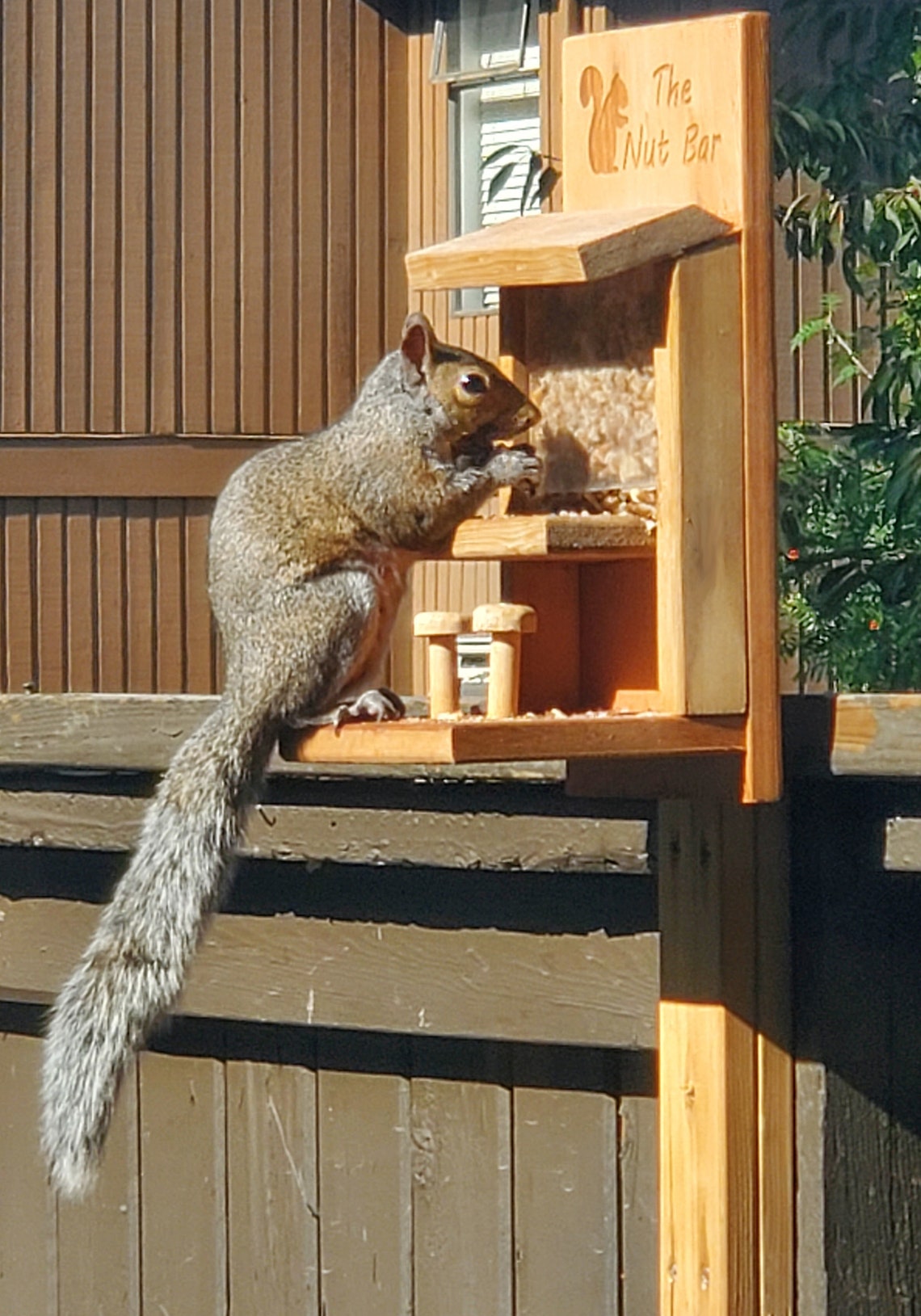 Handmade Nut Bar Squirrel Feeder/Seed Saloon Bird Feeder Etsy