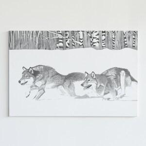Wolves in winter snow