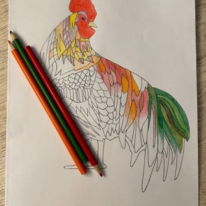 Rooster Print Out Coloring Page