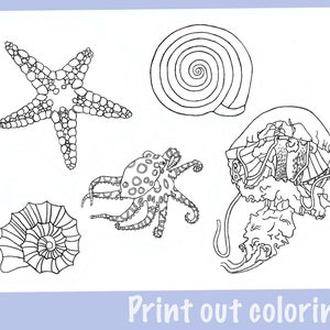 Downloadable coloring pages - starfish, shells, and more