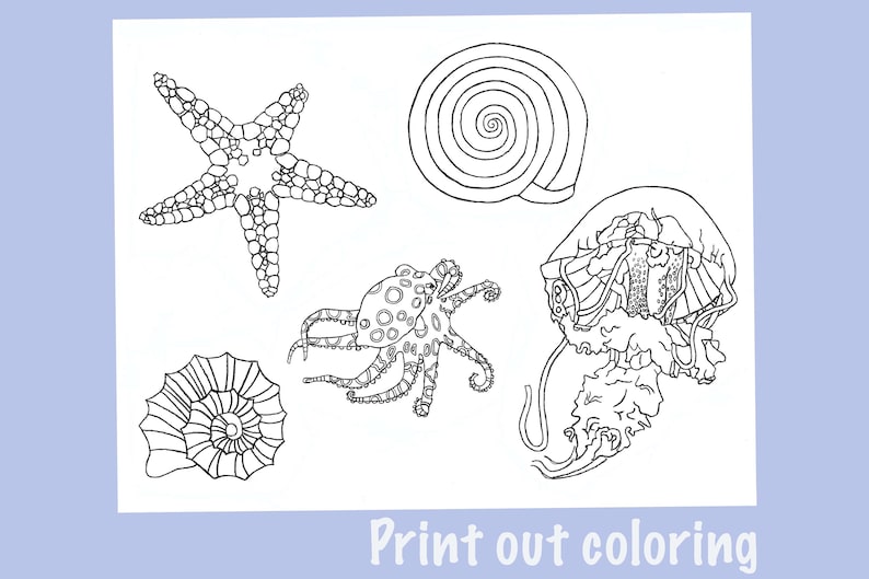 Download starfish shells and more Downloadable coloring pages ...