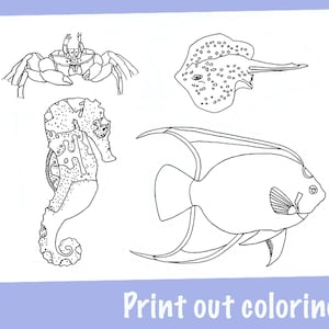 Angelfish printable coloring sheet