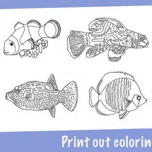 Printable coloring pages - fish