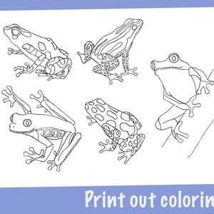 Printable coloring pages - frogs