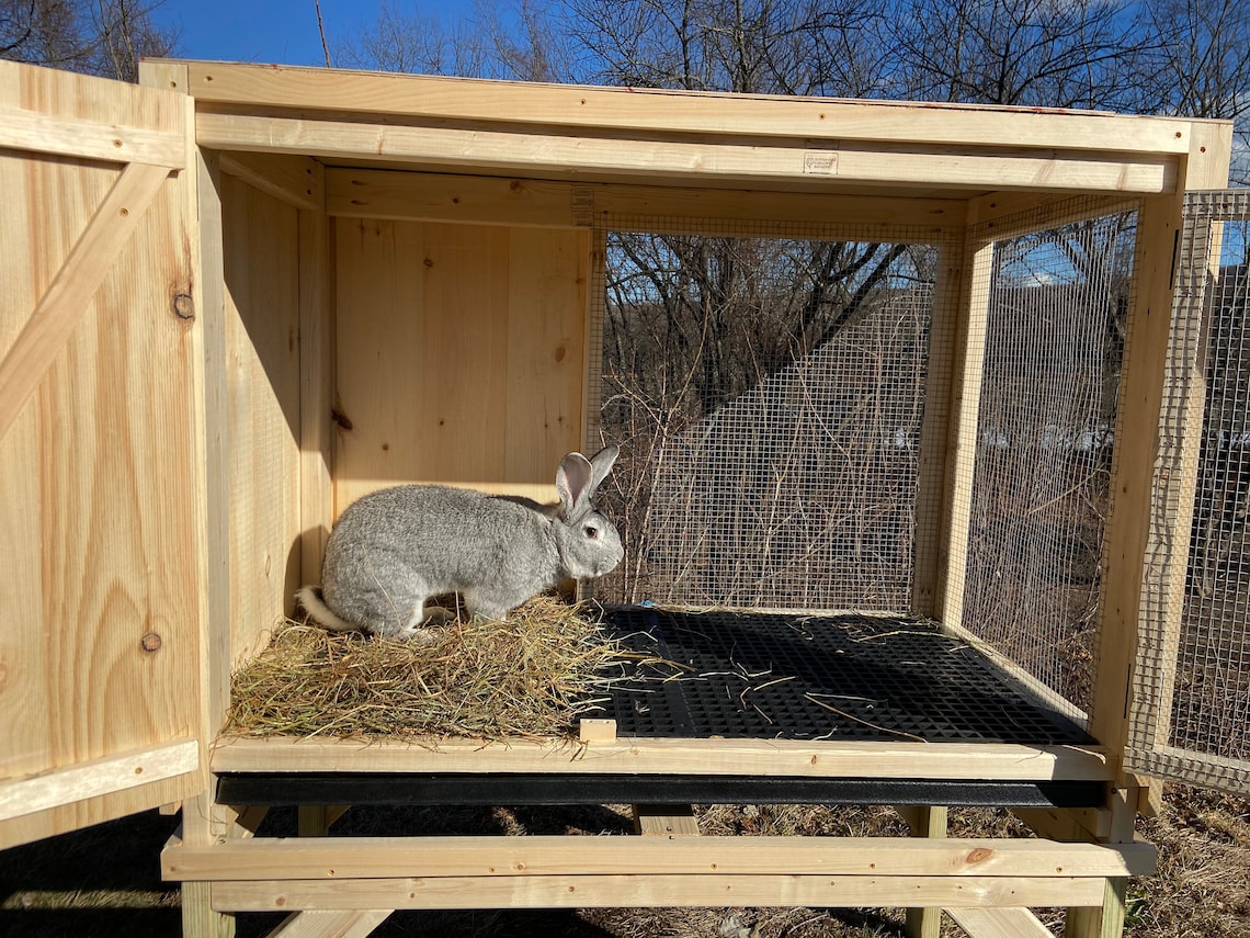 Custom Flemish Giant Rabbit Hutch Etsy