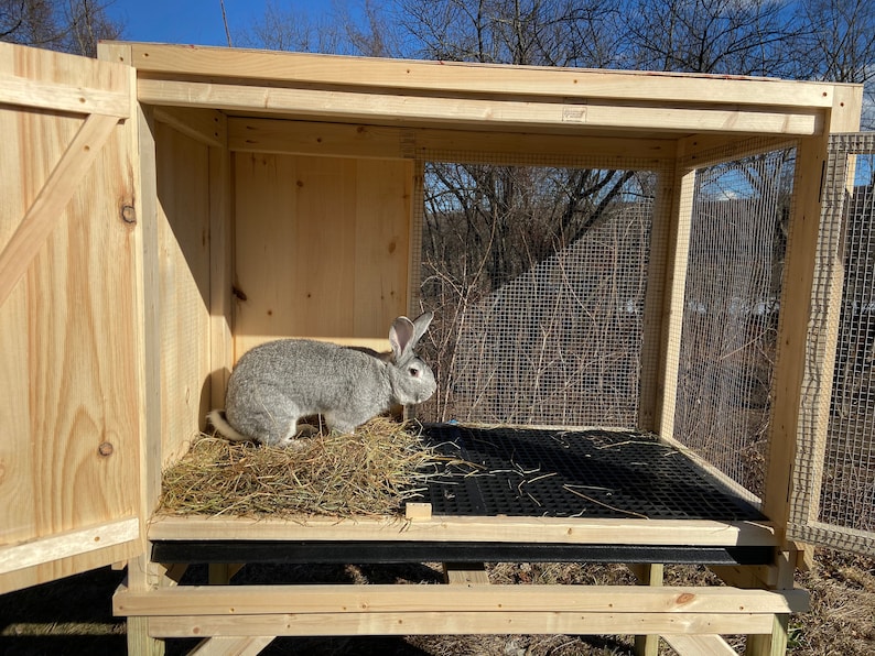 Custom Flemish Giant Rabbit Hutch Etsy
