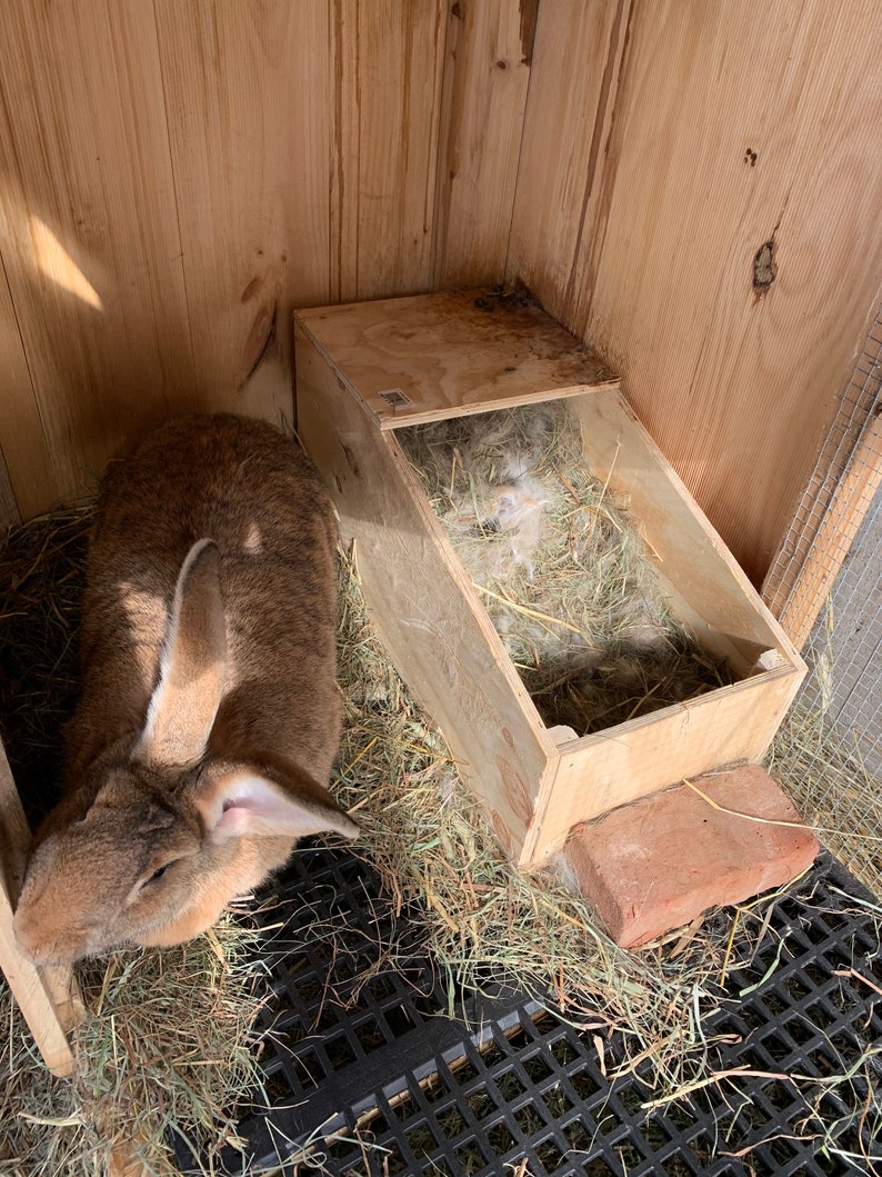 Giant Rabbit Nesting Box Perfect for Flemish Giants | Etsy