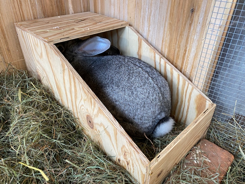 Giant Rabbit Nesting Box Perfect for Flemish Giants Etsy