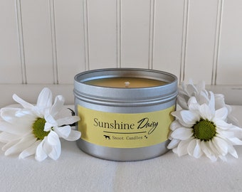 8oz. | Sunshine Daisy Candle | Snoot Candles