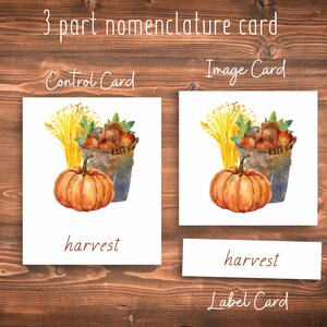 Autumn Montessori 3 Part Cards // Autumn Collection // Preschool Printable // Preschool Activity // Montessori // Toddler Learning Activity image 2