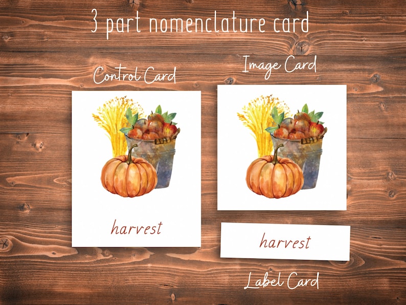 Autumn Montessori 3 Part Cards // Autumn Collection // Preschool Printable // Preschool Activity // Montessori // Toddler Learning Activity image 2