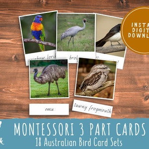 Australian Birds Montessori 3 Part Cards // Preschool Printable // Preschool Activity // Montessori // Toddler Learning Activity