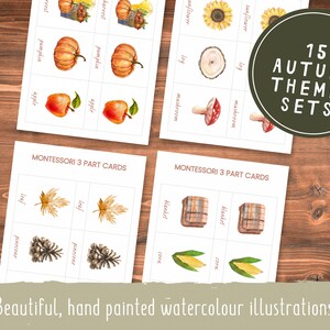 Autumn Montessori 3 Part Cards // Autumn Collection // Preschool Printable // Preschool Activity // Montessori // Toddler Learning Activity image 3