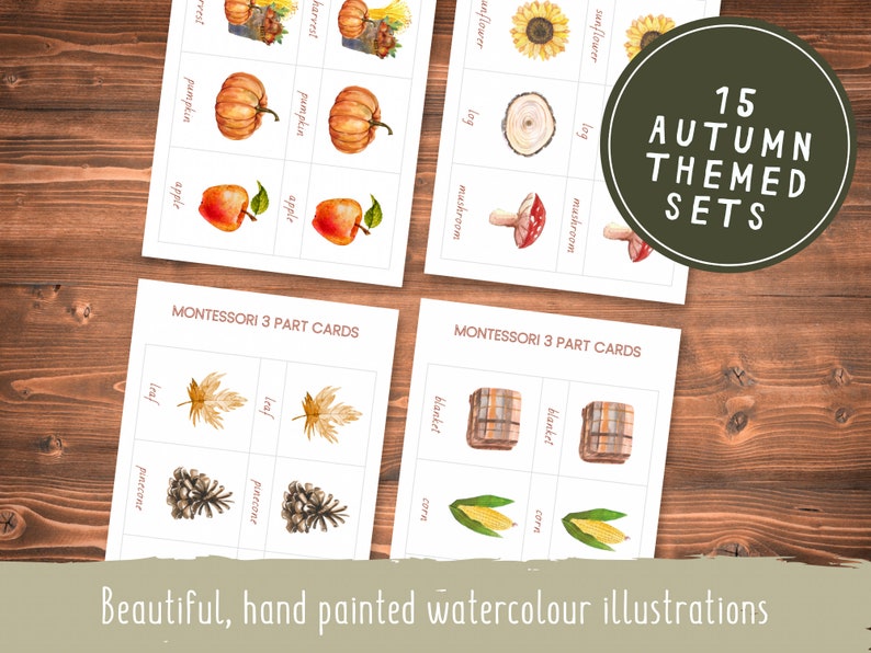 Autumn Montessori 3 Part Cards // Autumn Collection // Preschool Printable // Preschool Activity // Montessori // Toddler Learning Activity image 3