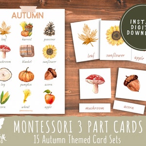 Autumn Montessori 3 Part Cards // Autumn Collection // Preschool Printable // Preschool Activity // Montessori // Toddler Learning Activity image 1