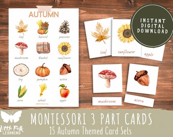Autumn Montessori 3 Part Cards // Autumn Collection // Preschool Printable // Preschool Activity // Montessori // Toddler Learning Activity