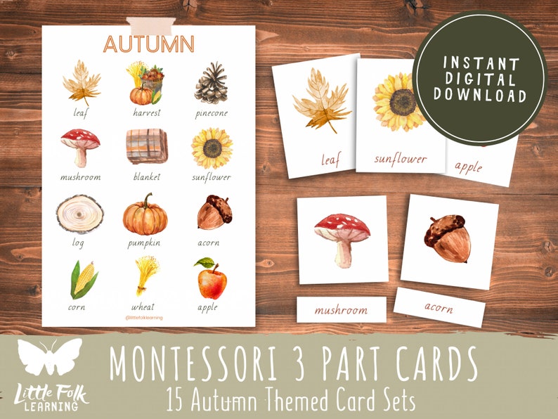 Autumn Montessori 3 Part Cards // Autumn Collection // Preschool Printable // Preschool Activity // Montessori // Toddler Learning Activity image 1