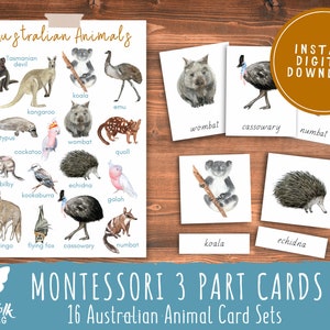 Australia Montessori 3 Part Cards // Preschool Printable // Preschool Activity // Montessori // Toddler Learning Activity