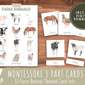 Farm Animals Montessori 3 Part Cards // Preschool Printable // Preschool Activity // Montessori // Toddler Learning Activity
